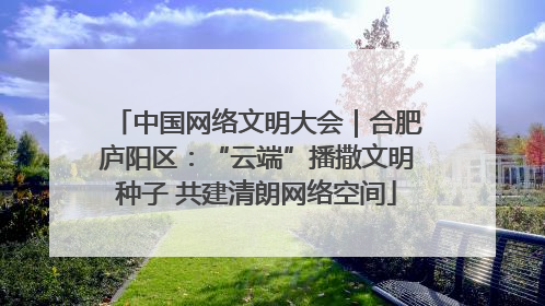 中国网络文明大会｜合肥庐阳区：“云端”播撒文明种子 共建清朗网络空间