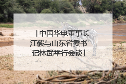 中国华电董事长江毅与山东省委书记林武举行会谈
