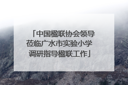 中国楹联协会领导莅临广水市实验小学调研指导楹联工作