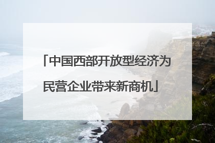 中国西部开放型经济为民营企业带来新商机
