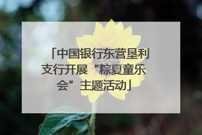中国银行东营垦利支行开展“粽夏童乐会”主题活动