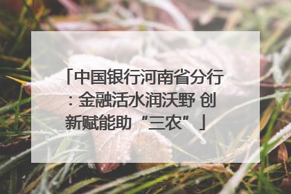中国银行河南省分行：金融活水润沃野 创新赋能助“三农”