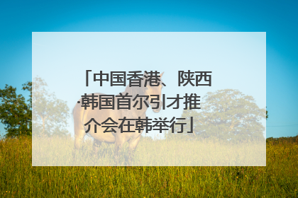 中国香港、陕西·韩国首尔引才推介会在韩举行