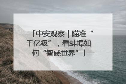 中安观察｜瞄准“千亿级”，看蚌埠如何“智感世界”