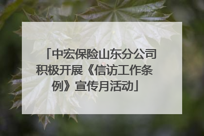 中宏保险山东分公司积极开展《信访工作条例》宣传月活动