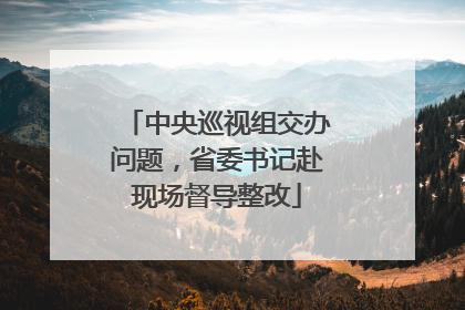 中央巡视组交办问题，省委书记赴现场督导整改