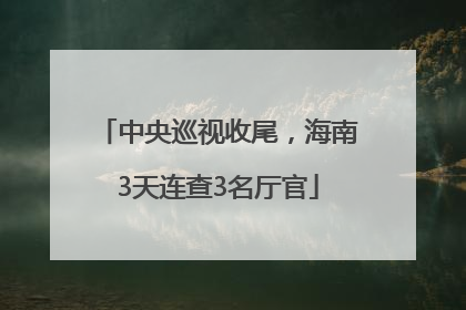 中央巡视收尾，海南3天连查3名厅官