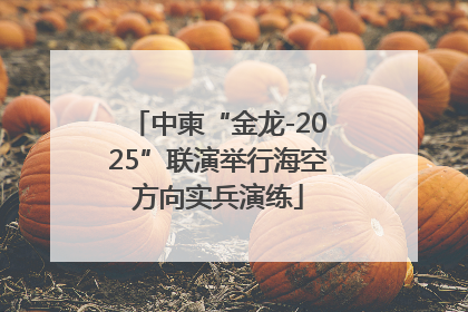 中柬“金龙-2025”联演举行海空方向实兵演练