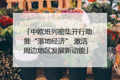 中欧班列密集开行助推“落地经济” 激活周边地区发展新动能