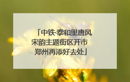 中铁·泰和里唐风宋韵主题街区开市 郑州再添好去处