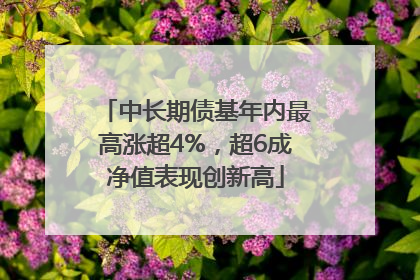 中长期债基年内最高涨超4%，超6成净值表现创新高