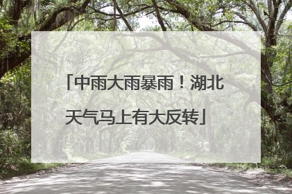 中雨大雨暴雨！湖北天气马上有大反转