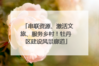 串联资源、激活文旅、服务乡村！牡丹区建设风景廊道