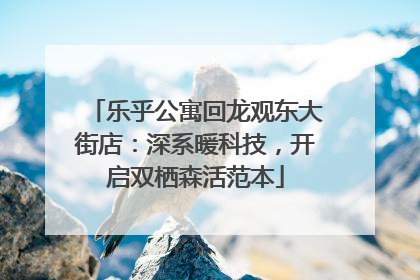 乐乎公寓回龙观东大街店：深系暖科技，开启双栖森活范本