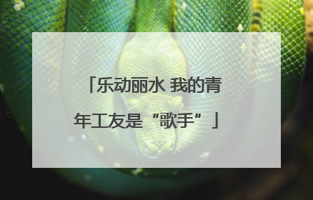 乐动丽水 我的青年工友是“歌手”