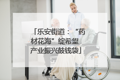 乐安街道：“药材花海”绽希望 产业振兴鼓钱袋
