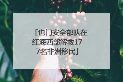 也门安全部队在红海西部解救177名非洲移民