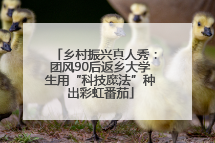 乡村振兴真人秀：团风90后返乡大学生用“科技魔法”种出彩虹番茄