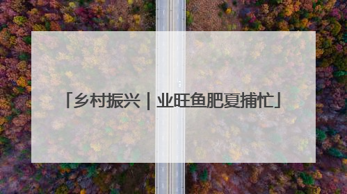 乡村振兴｜业旺鱼肥夏捕忙