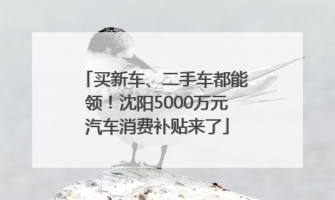 买新车、二手车都能领！沈阳5000万元汽车消费补贴来了