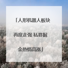 人形机器人板块再度走强 私募掘金热情高涨