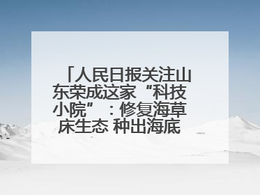 人民日报关注山东荣成这家“科技小院”：修复海草床生态 种出海底“森林”