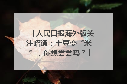 人民日报海外版关注昭通：土豆变“米”，你想尝尝吗？