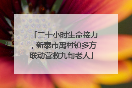 二十小时生命接力，新泰市禹村镇多方联动营救九旬老人