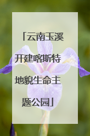 云南玉溪开建喀斯特地貌生命主题公园