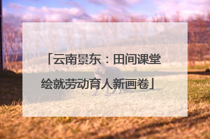 云南景东：田间课堂绘就劳动育人新画卷