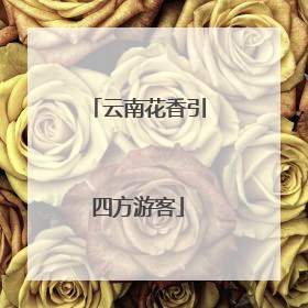 云南花香引四方游客