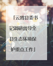 云霄县委书记调研督导全县生态环境保护重点工作