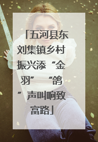 五河县东刘集镇乡村振兴添“金羽” “鸽”声叫响致富路