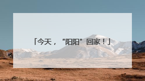 今天，“阳阳”回家！