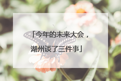 今年的未来大会，湖州谈了三件事