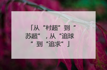 从“村超”到“苏超”，从“追球”到“追求”