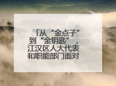 从“金点子”到“金钥匙”，江汉区人大代表和职能部门面对面解企业难题