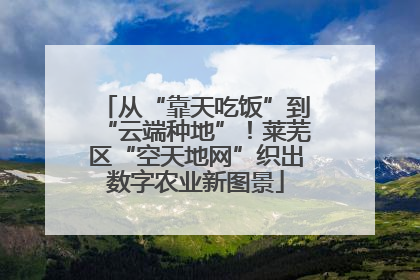 从“靠天吃饭”到“云端种地”！莱芜区“空天地网”织出数字农业新图景
