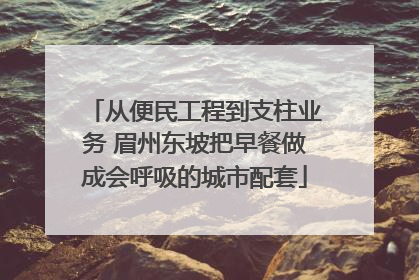 从便民工程到支柱业务 眉州东坡把早餐做成会呼吸的城市配套