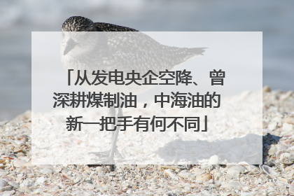从发电央企空降、曾深耕煤制油，中海油的新一把手有何不同