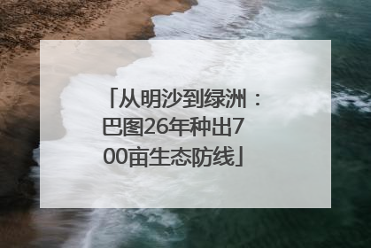 从明沙到绿洲：巴图26年种出700亩生态防线
