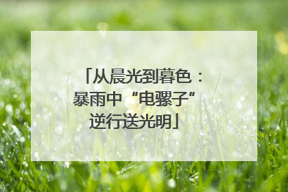 从晨光到暮色：暴雨中“电骡子”逆行送光明