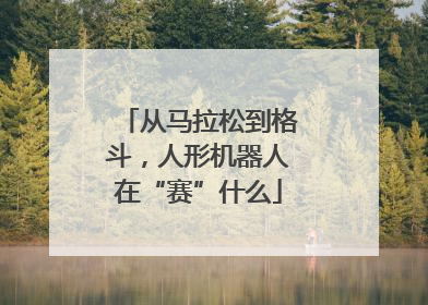 从马拉松到格斗，人形机器人在“赛”什么