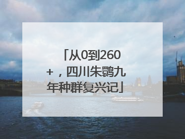 从0到260+，四川朱鹮九年种群复兴记