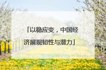 以稳应变，中国经济展现韧性与潜力