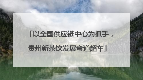 以全国供应链中心为抓手，贵州新茶饮发展弯道超车