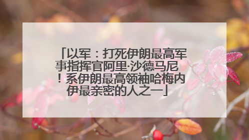 以军：打死伊朗最高军事指挥官阿里·沙德马尼！系伊朗最高领袖哈梅内伊最亲密的人之一