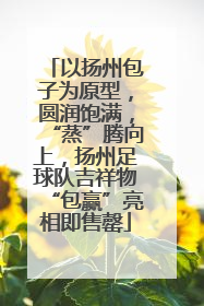 以扬州包子为原型，圆润饱满，“蒸”腾向上，扬州足球队吉祥物“包赢”亮相即售罄
