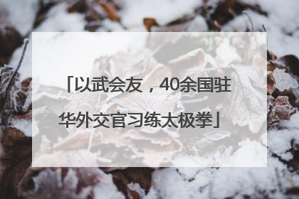 以武会友，40余国驻华外交官习练太极拳