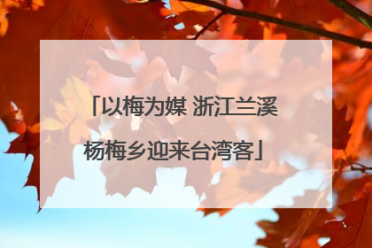 以梅为媒 浙江兰溪杨梅乡迎来台湾客